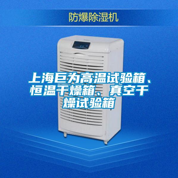 上海巨為高溫試驗(yàn)箱、恒溫干燥箱、真空干燥試驗(yàn)箱