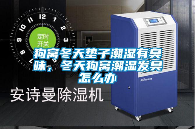 狗窩冬天墊子潮濕有臭味，冬天狗窩潮濕發(fā)臭怎么辦