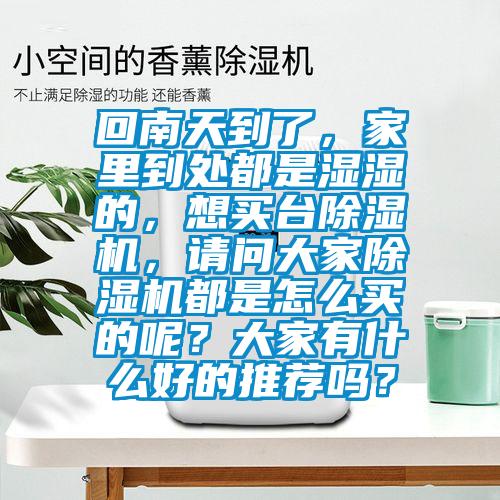 回南天到了，家里到處都是濕濕的，想買臺除濕機，請問大家除濕機都是怎么買的呢？大家有什么好的推薦嗎？