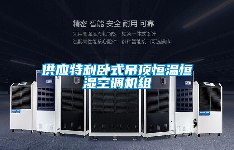 供應特利臥式吊頂恒溫恒濕空調(diào)機組
