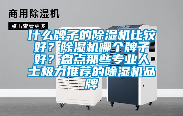 什么牌子的除濕機比較好？除濕機哪個牌子好？盤點那些專業人士極力推薦的除濕機品牌