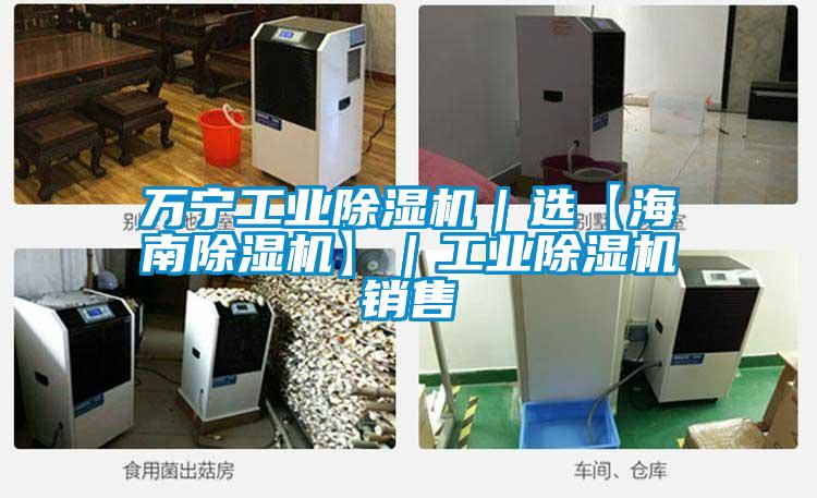 萬寧工業(yè)除濕機(jī)|選【海南除濕機(jī)】|工業(yè)除濕機(jī)銷售