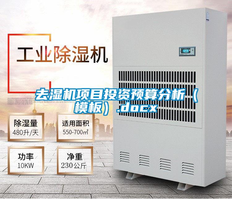 去濕機項目投資預(yù)算分析(模板).docx