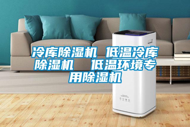 冷庫除濕機 低溫冷庫除濕機 低溫環境專用除濕機