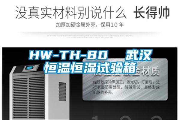 HW-TH-80 武漢恒溫恒濕試驗箱