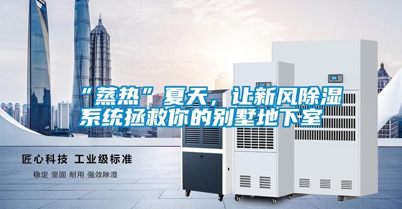 “蒸熱”夏天,讓新風(fēng)除濕系統(tǒng)拯救你的別墅地下室