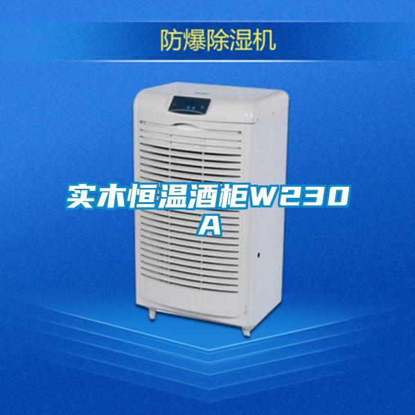 實(shí)木恒溫酒柜W230A