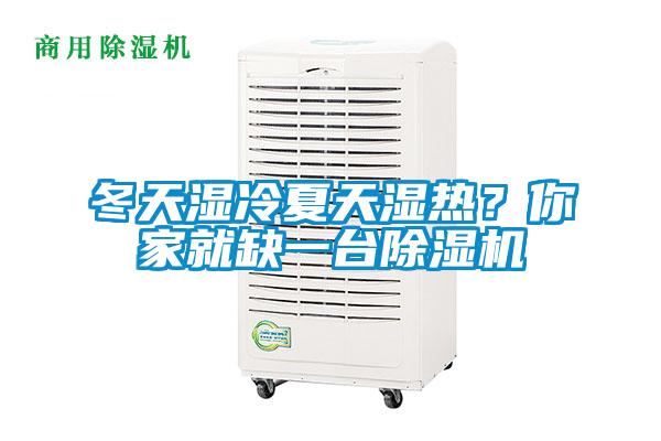 冬天濕冷夏天濕熱？你家就缺一臺除濕機