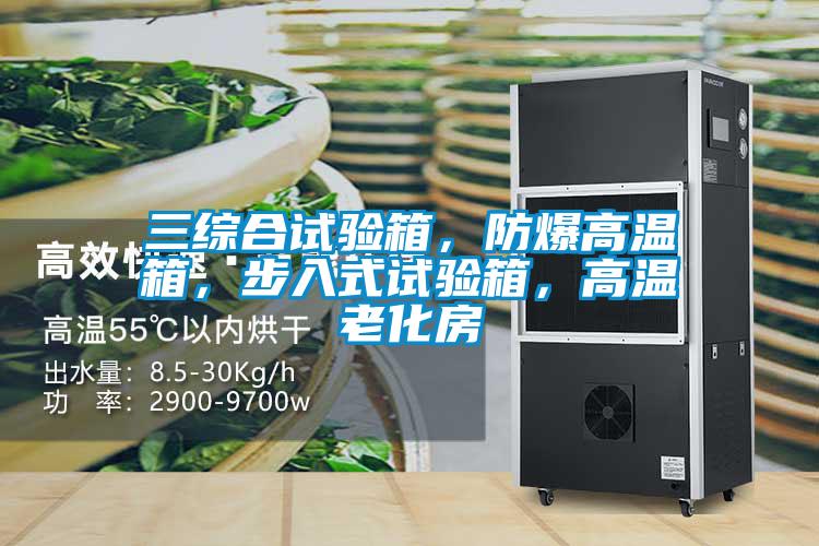 三綜合試驗(yàn)箱，防爆高溫箱，步入式試驗(yàn)箱，高溫老化房