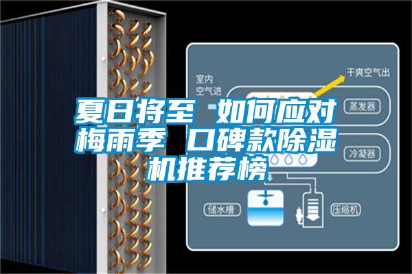 夏日將至 如何應(yīng)對梅雨季 口碑款除濕機推薦榜
