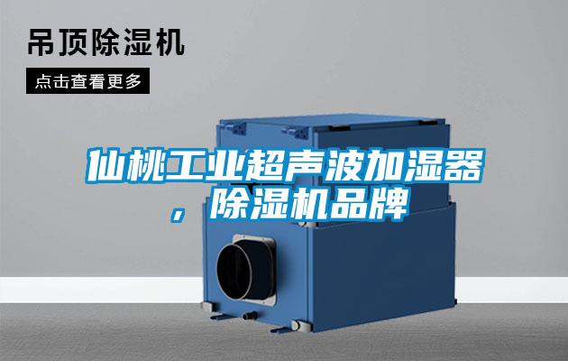 仙桃工業超聲波加濕器，除濕機品牌