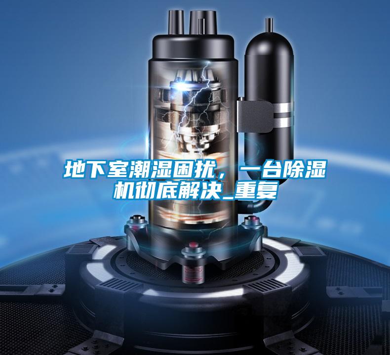 地下室潮濕困擾，一臺除濕機徹底解決_重復