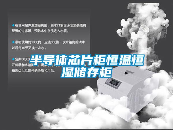 半導體芯片柜恒溫恒濕儲存柜