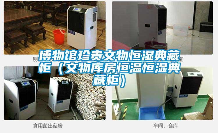 博物館珍貴文物恒濕典藏柜(文物庫房恒溫恒濕典藏柜)