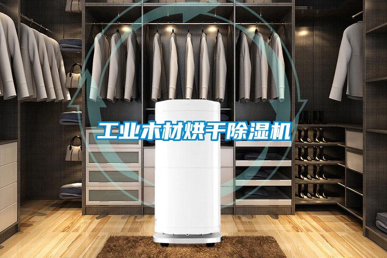 工業(yè)木材烘干除濕機