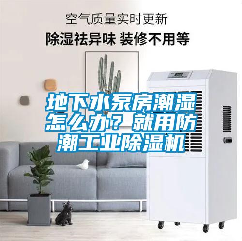 地下水泵房潮濕怎么辦？就用防潮工業除濕機