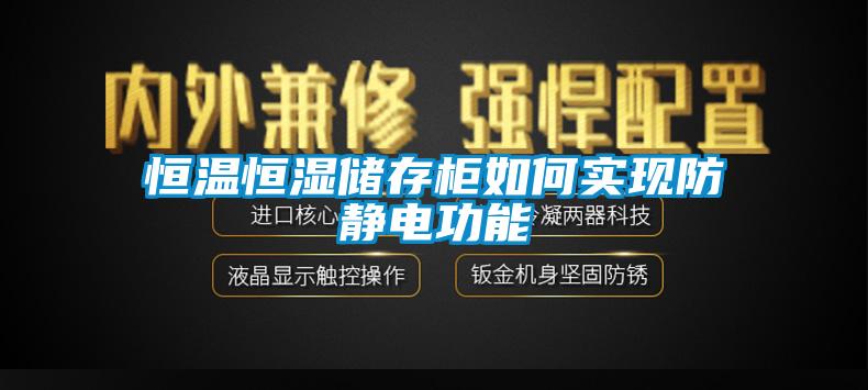 恒溫恒濕儲存柜如何實現(xiàn)防靜電功能