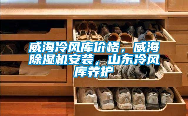 威海冷風(fēng)庫(kù)價(jià)格，威海除濕機(jī)安裝，山東冷風(fēng)庫(kù)養(yǎng)護(hù)
