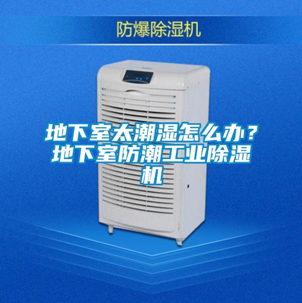 地下室太潮濕怎么辦？地下室防潮工業(yè)除濕機
