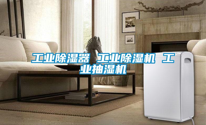 工業(yè)除濕器 工業(yè)除濕機 工業(yè)抽濕機