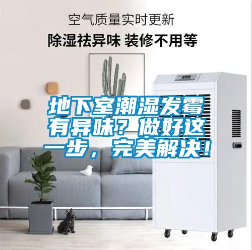 地下室潮濕發霉有異味？做好這一步，完美解決！