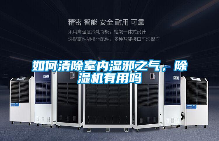 如何清除室內(nèi)濕邪之氣,除濕機有用嗎