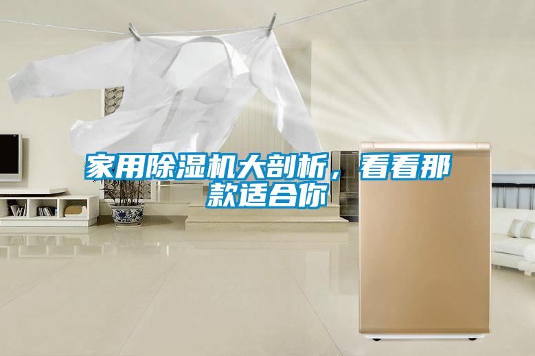 家用除濕機大剖析，看看那款適合你