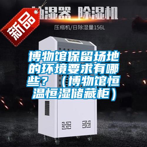 博物館保留場地的環(huán)境要求有哪些?(博物館恒溫恒濕儲藏柜)