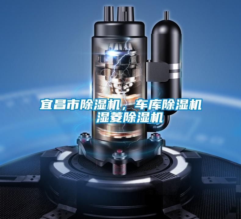 宜昌市除濕機(jī)，車庫(kù)除濕機(jī)  濕菱除濕機(jī)