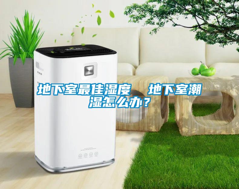 地下室最佳濕度  地下室潮濕怎么辦？