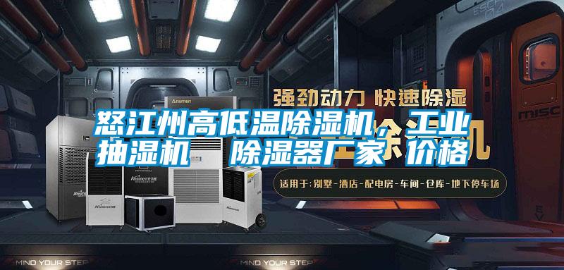 怒江州高低溫除濕機(jī)，工業(yè)抽濕機(jī)  除濕器廠家 價格