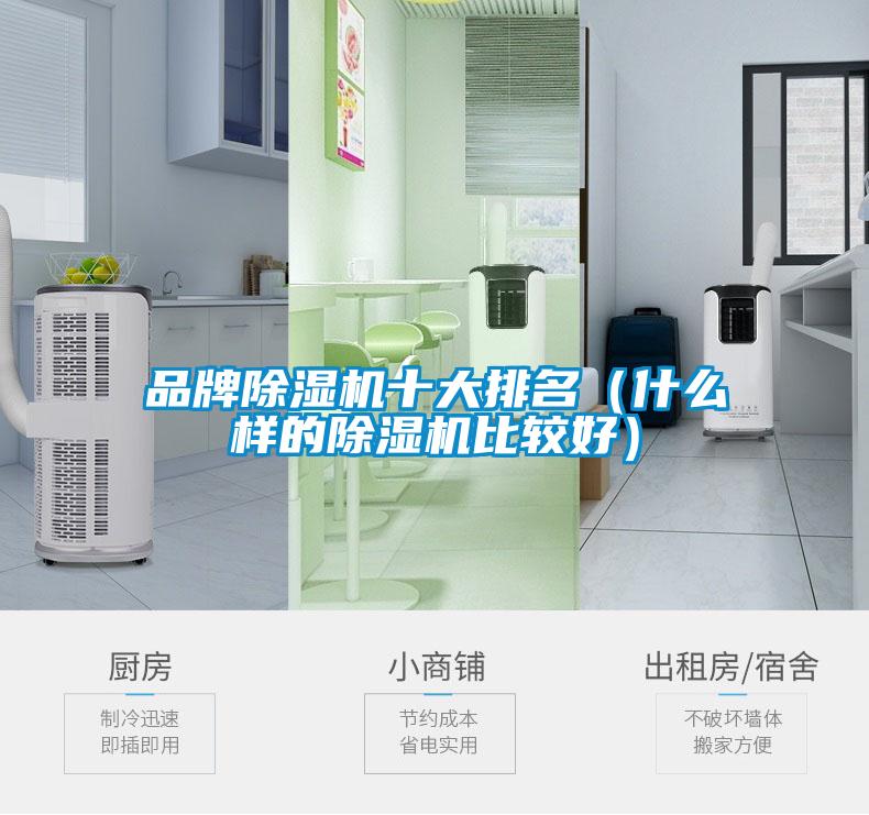 品牌除濕機(jī)十大排名(什么樣的除濕機(jī)比較好)