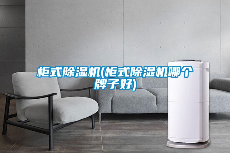 柜式除濕機(柜式除濕機哪個牌子好)