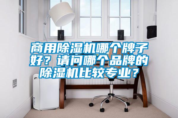 商用除濕機哪個牌子好？請問哪個品牌的除濕機比較專業？