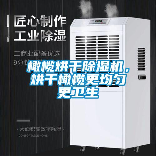 橄欖烘干除濕機，烘干橄欖更均勻更衛生