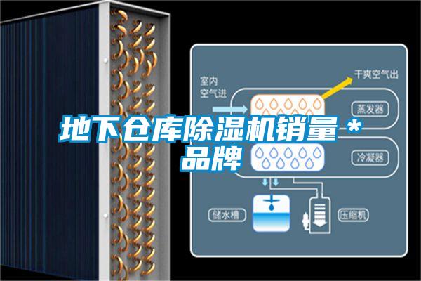 地下倉(cāng)庫(kù)除濕機(jī)銷量＊品牌