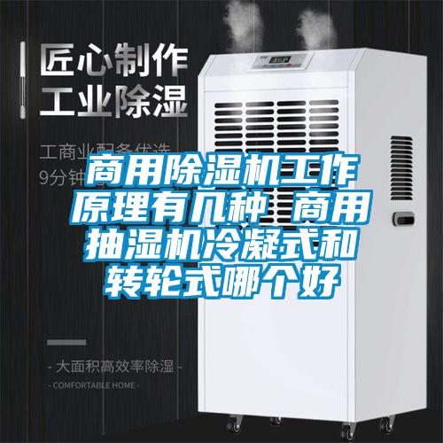 商用除濕機工作原理有幾種 商用抽濕機冷凝式和轉(zhuǎn)輪式哪個好