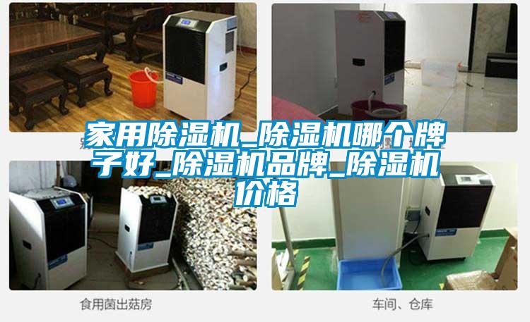 家用除濕機(jī)_除濕機(jī)哪個(gè)牌子好_除濕機(jī)品牌_除濕機(jī)價(jià)格