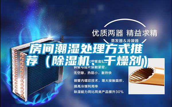 房間潮濕處理方式推薦（除濕機、干燥劑）