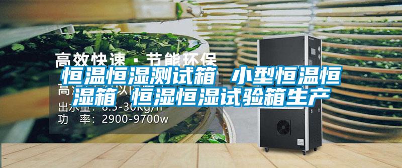 恒溫恒濕測(cè)試箱 小型恒溫恒濕箱 恒濕恒濕試驗(yàn)箱生產(chǎn)
