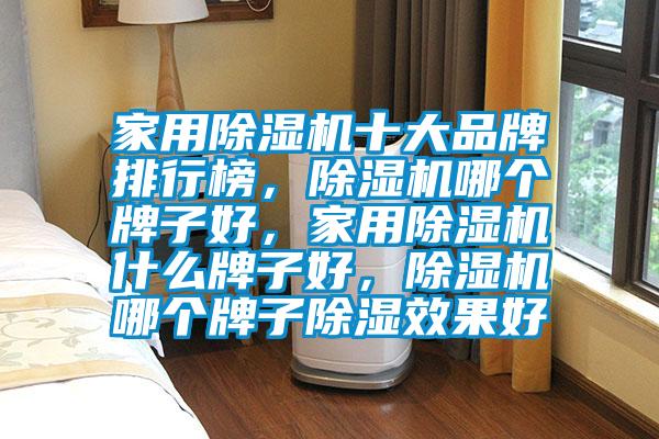 家用除濕機十大品牌排行榜，除濕機哪個牌子好，家用除濕機什么牌子好，除濕機哪個牌子除濕效果好