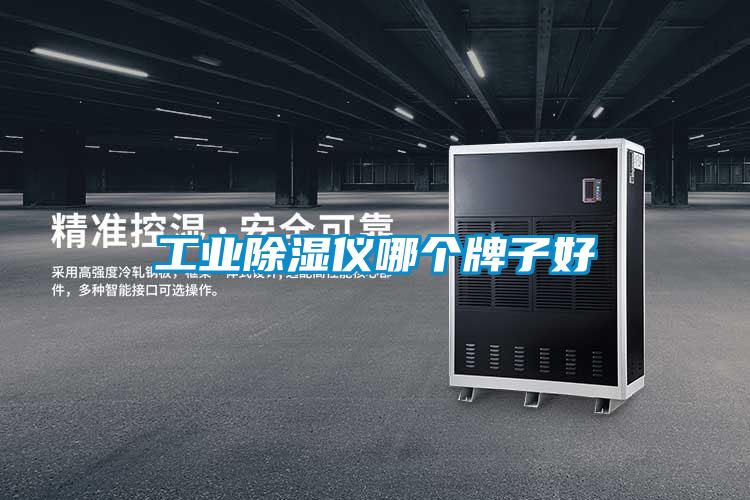 工業(yè)除濕儀哪個牌子好