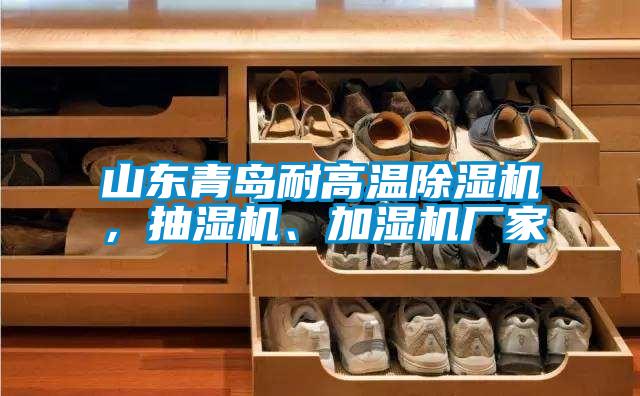 山東青島耐高溫除濕機,抽濕機、加濕機廠家