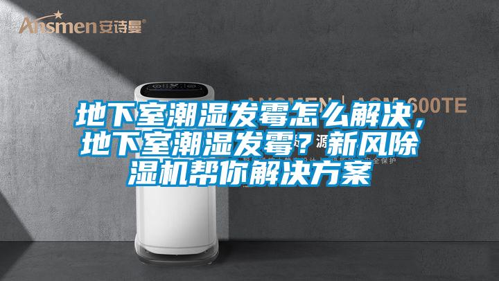 地下室潮濕發(fā)霉怎么解決，地下室潮濕發(fā)霉？新風(fēng)除濕機(jī)幫你解決方案