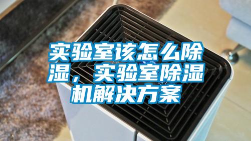 實驗室該怎么除濕，實驗室除濕機解決方案