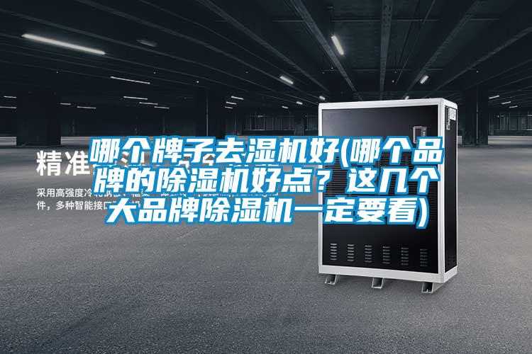 哪個(gè)牌子去濕機(jī)好(哪個(gè)品牌的除濕機(jī)好點(diǎn)？這幾個(gè)大品牌除濕機(jī)一定要看)