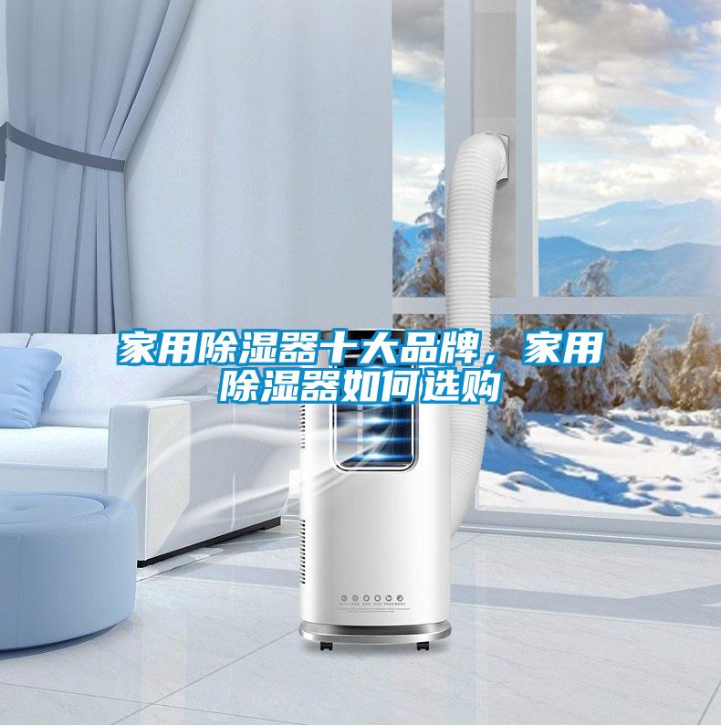 家用除濕器十大品牌，家用除濕器如何選購(gòu)