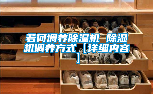 若何調養除濕機 除濕機調養方式【詳細內容】