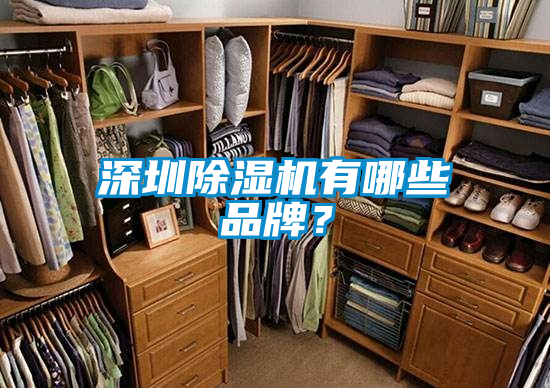深圳除濕機有哪些品牌？