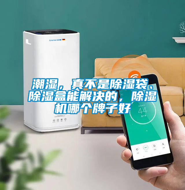 潮濕，真不是除濕袋、除濕盒能解決的，除濕機哪個牌子好